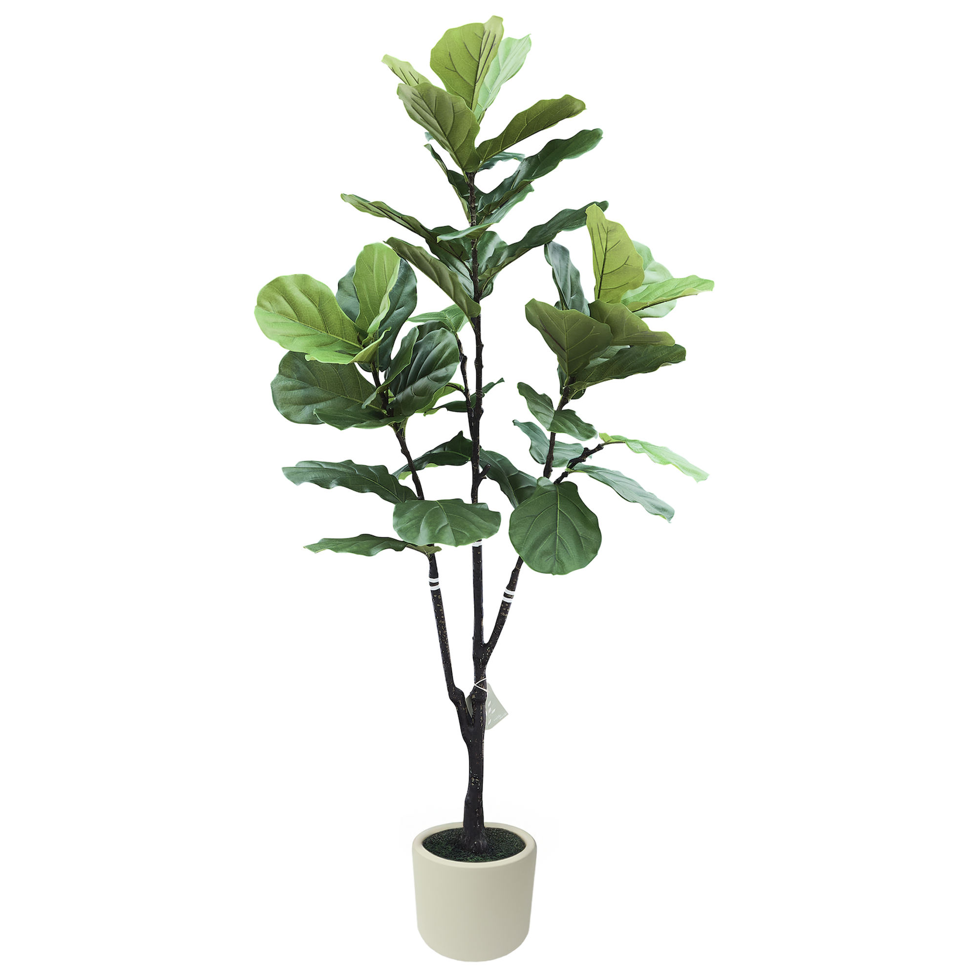 Árbol Artificial de Ficus Pandurata, Planta Decorativa para Interiores