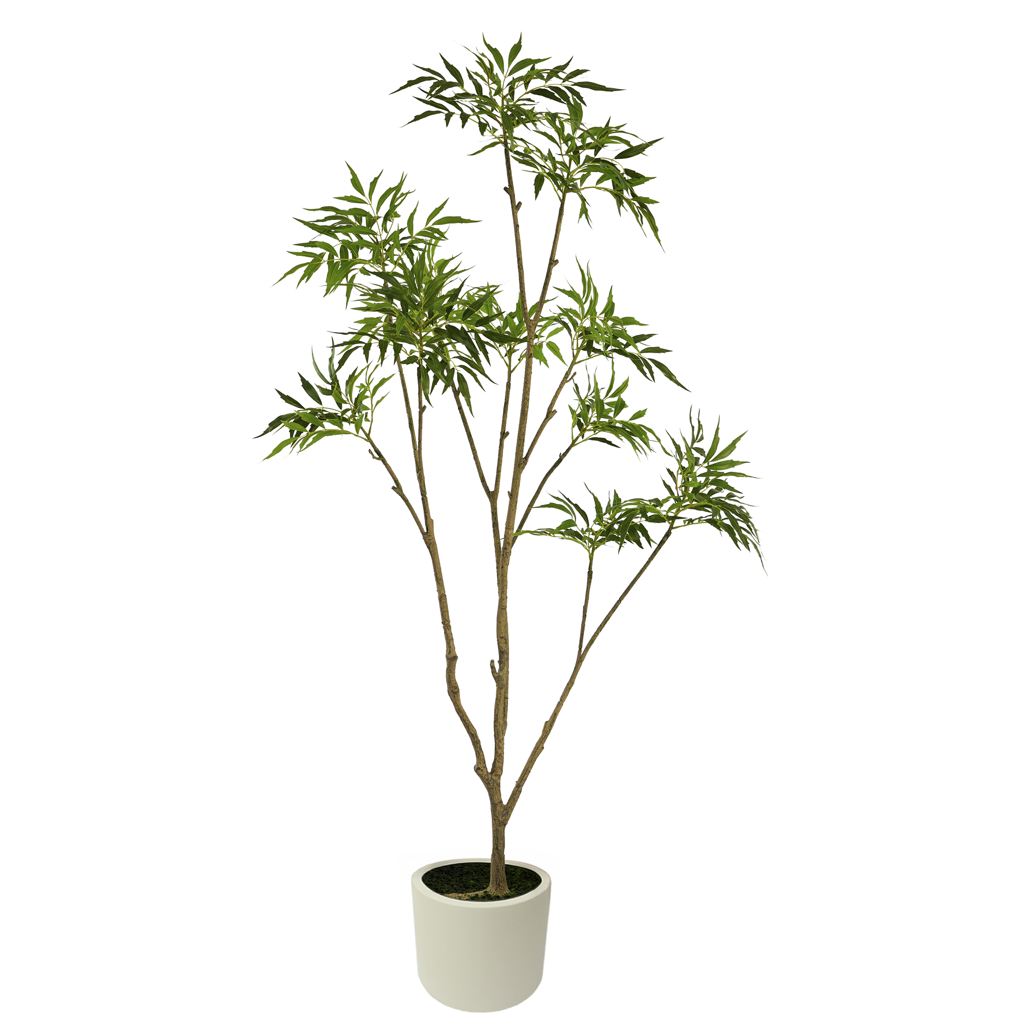 Árbol Decorativo Artificial Mahonia Fortunei Estilo Natural para Decoración Interior