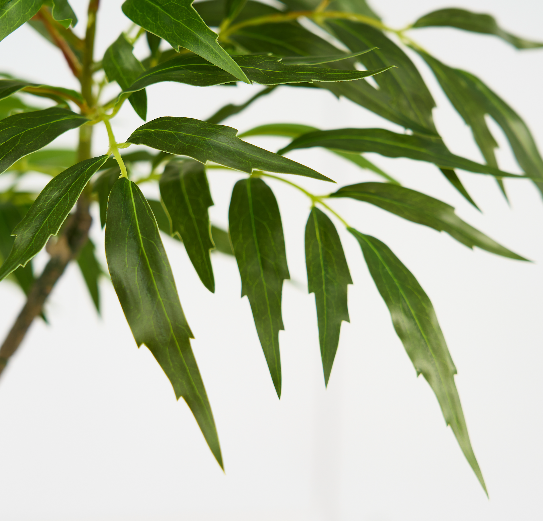 Árbol Decorativo Artificial Mahonia Fortunei Estilo Natural para Decoración Interior