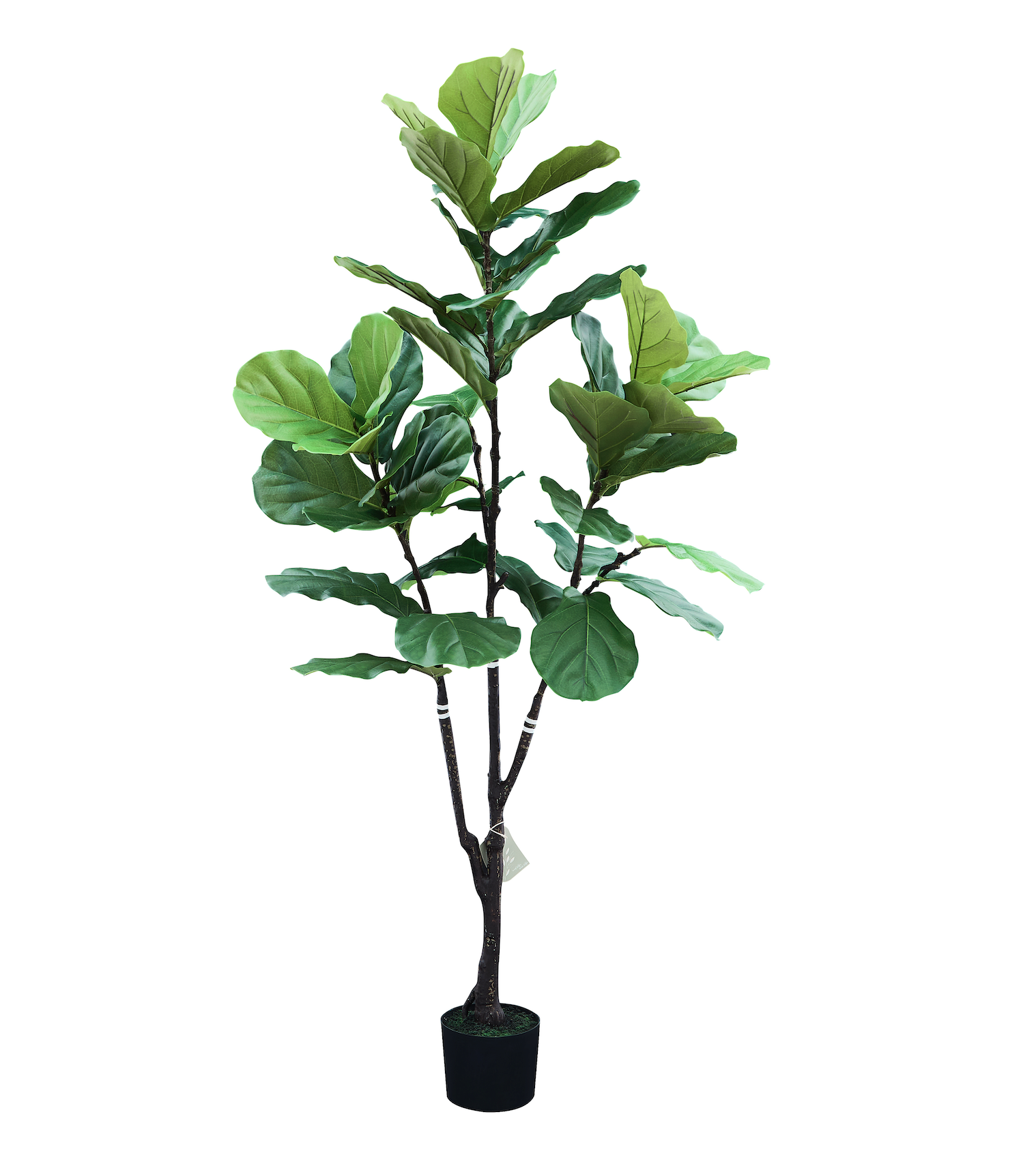 Árbol Artificial de Ficus Pandurata, Planta Decorativa para Interiores