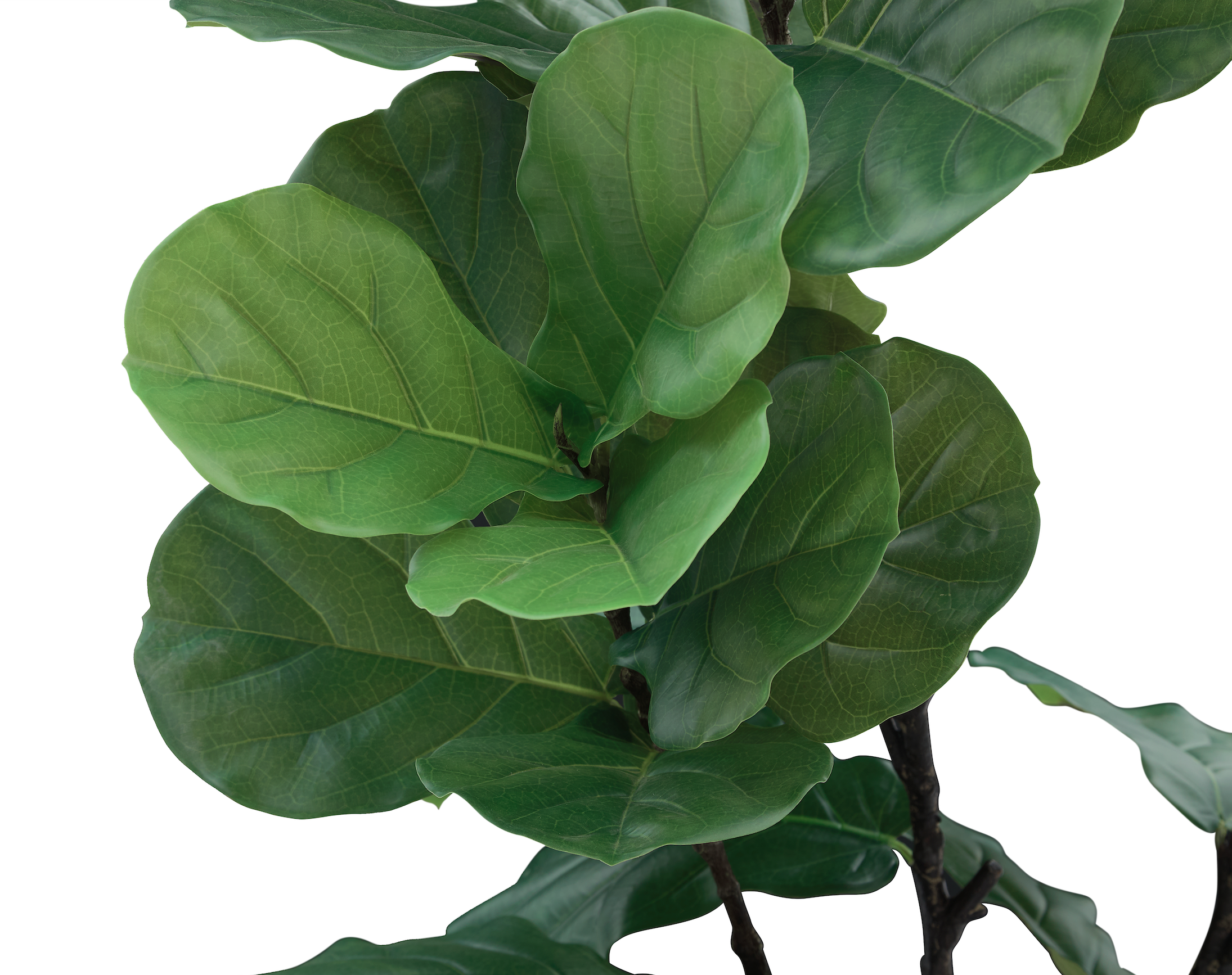 Árbol Artificial de Ficus Pandurata, Planta Decorativa para Interiores