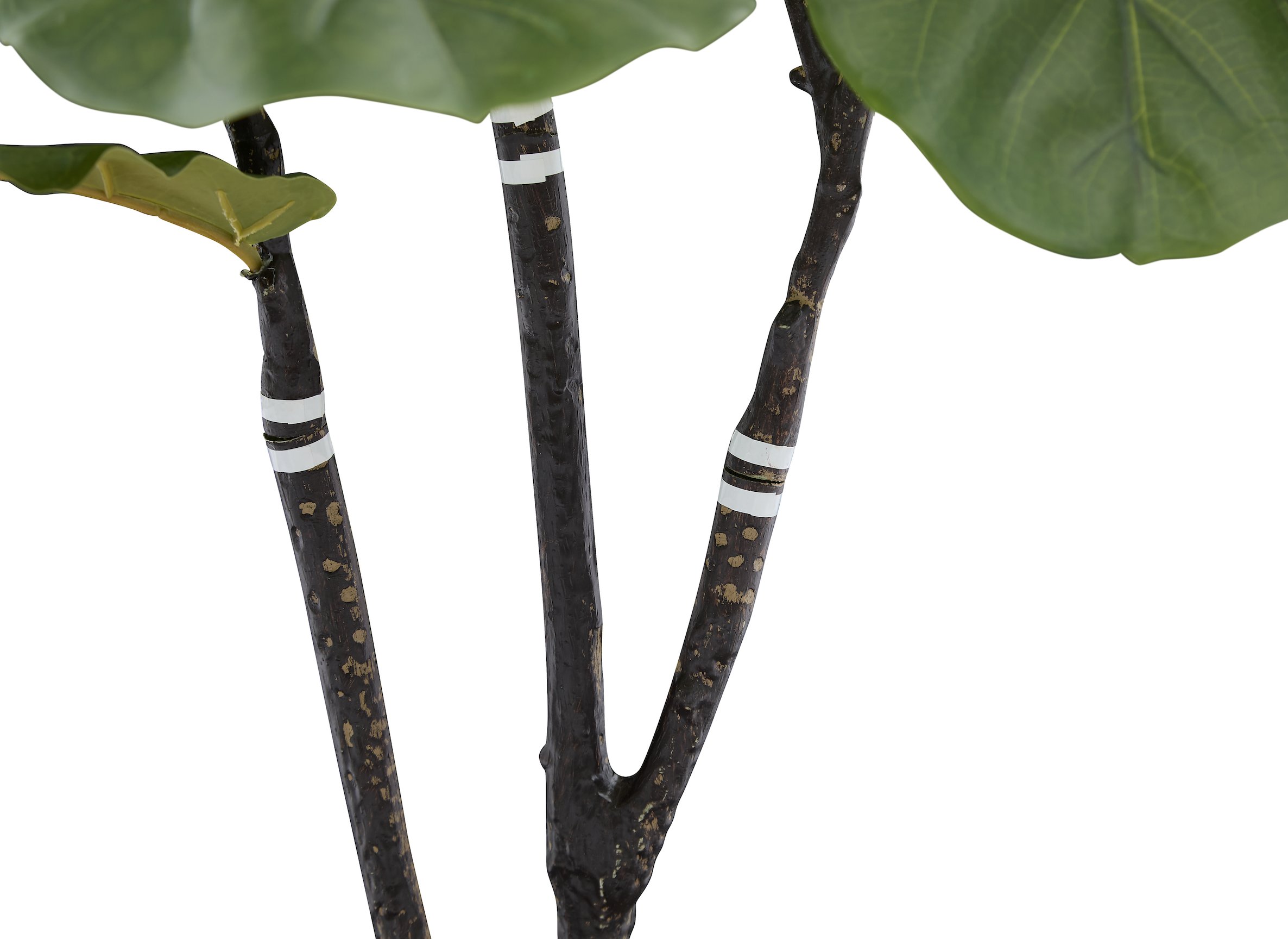 Árbol Artificial de Ficus Pandurata, Planta Decorativa para Interiores