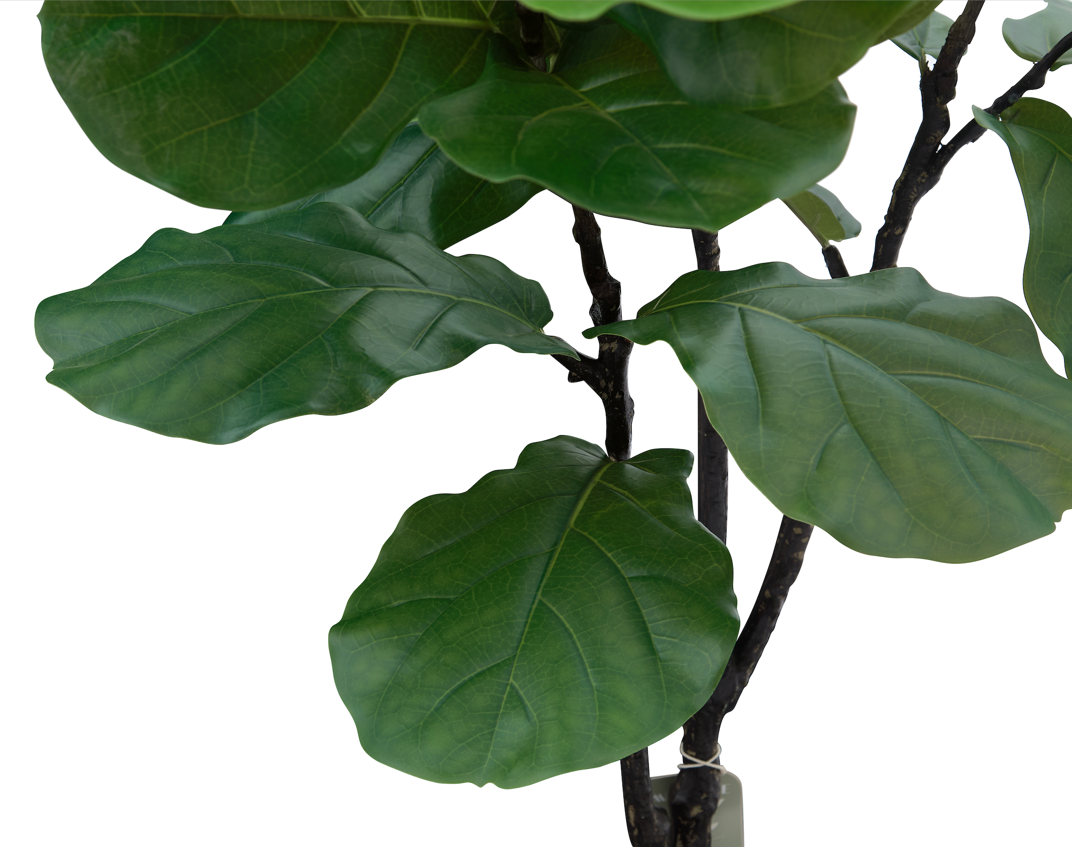 Árbol Artificial de Ficus Pandurata, Planta Decorativa para Interiores