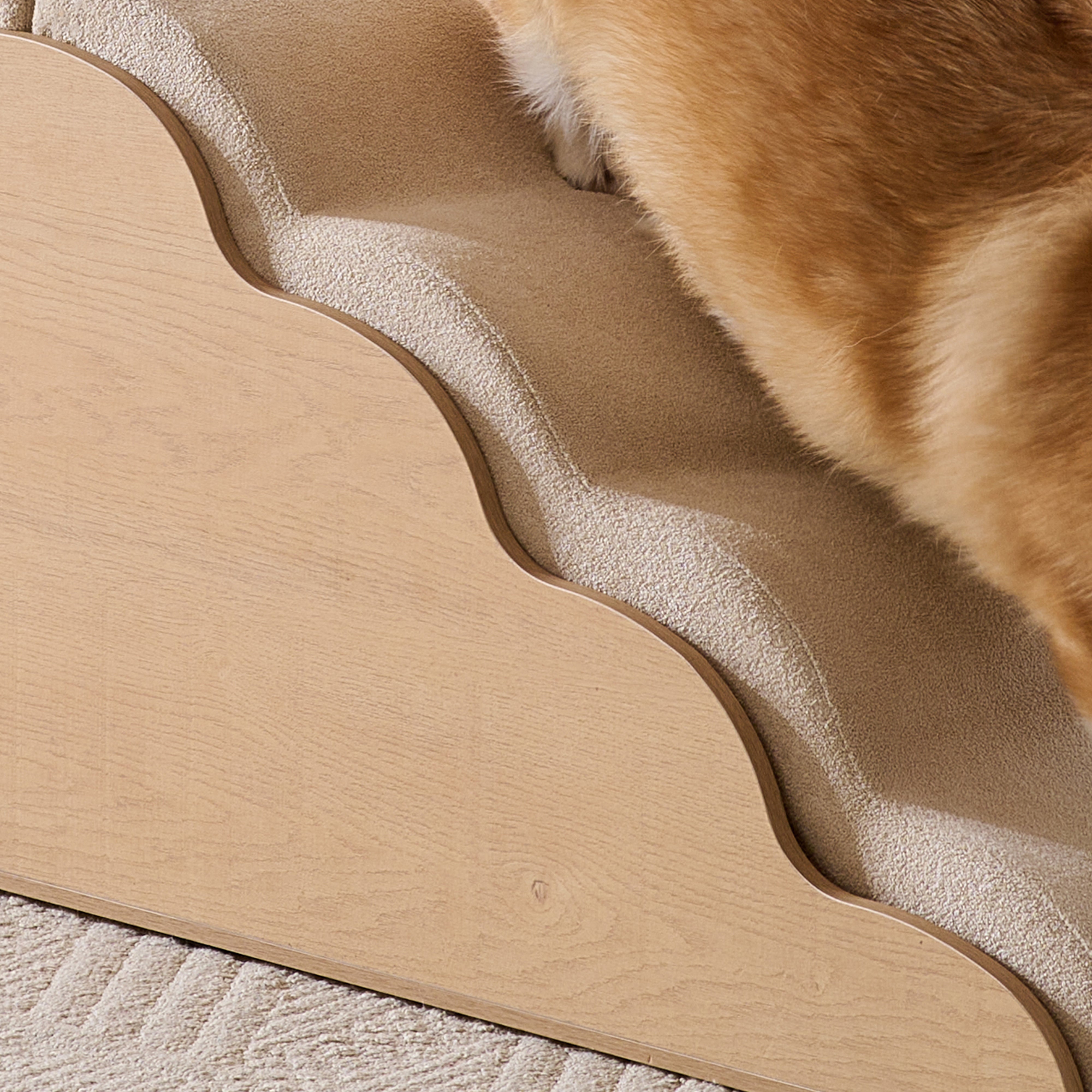 Escalera para Perros con Casa y Funda Desmontable Lavable, Diseño Ergonómica y Relleno de Espuma de Alta Densidad