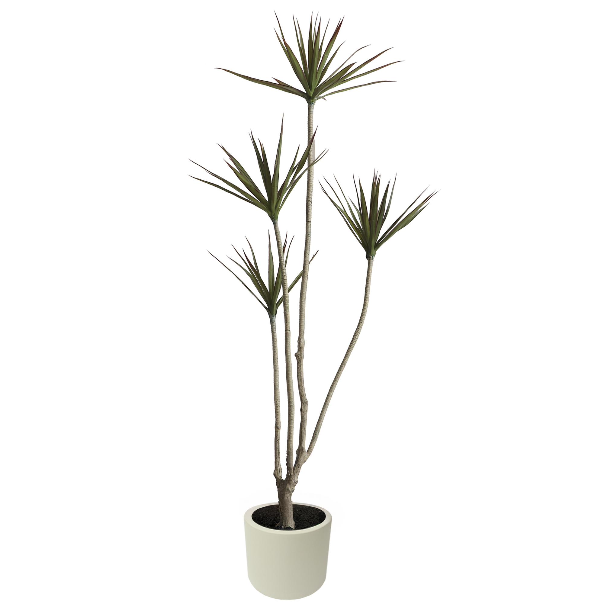 Planta Árbol Artificial Marginata Estilo Natural para Decoración Interior