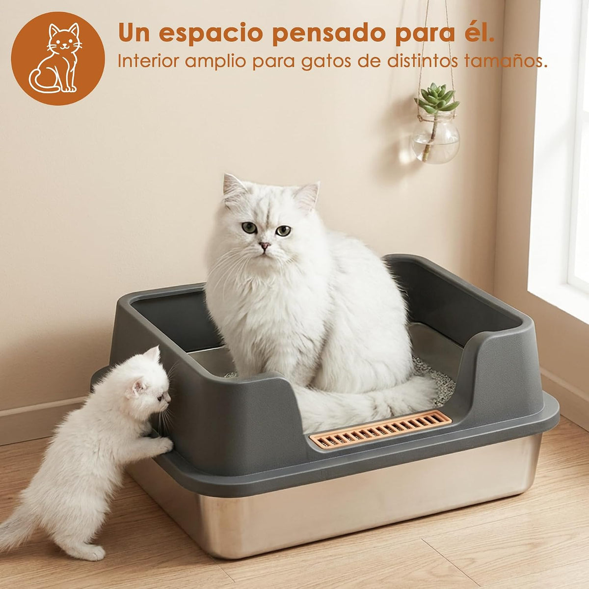 Arenero para gatos