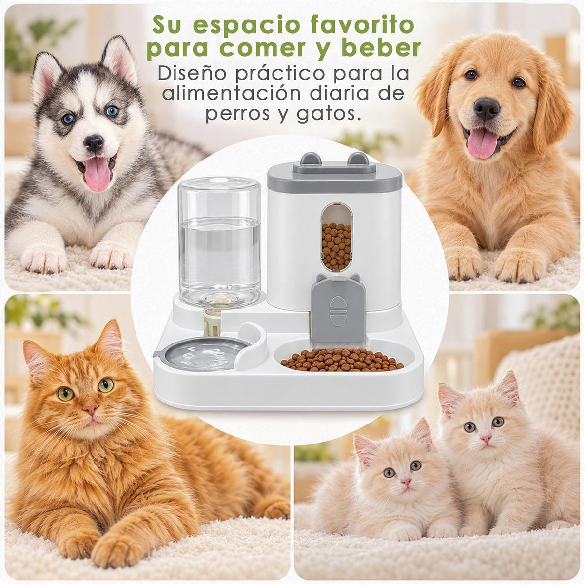 Comedero para mascotas