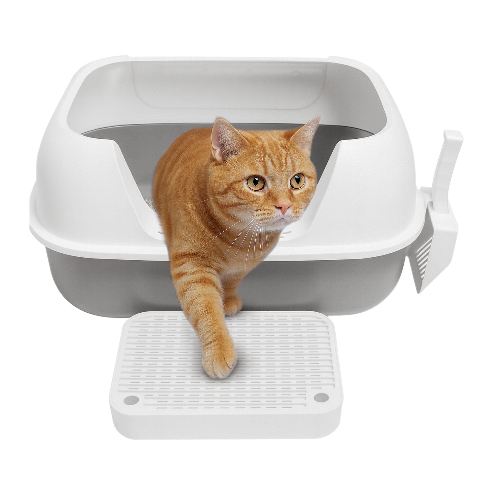 Arenero Horizontal Grande para Gato de Acero Inoxidable con Tapa Redondeada y Pala 60×40×30 cm