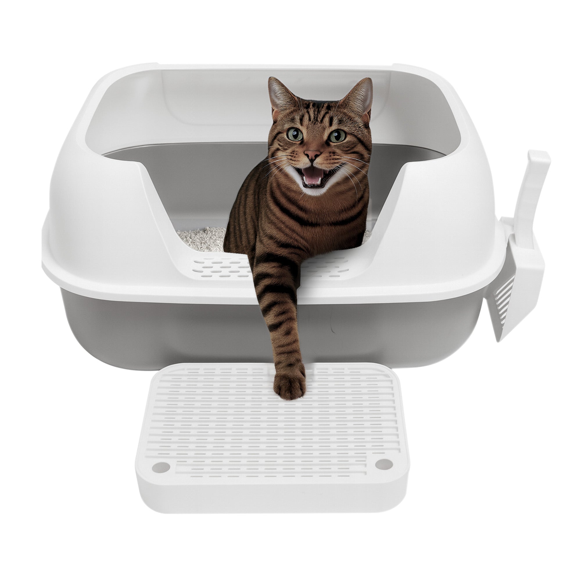 Arenero Horizontal Grande para Gato de Acero Inoxidable con Tapa Redondeada y Pala 60×40×30 cm