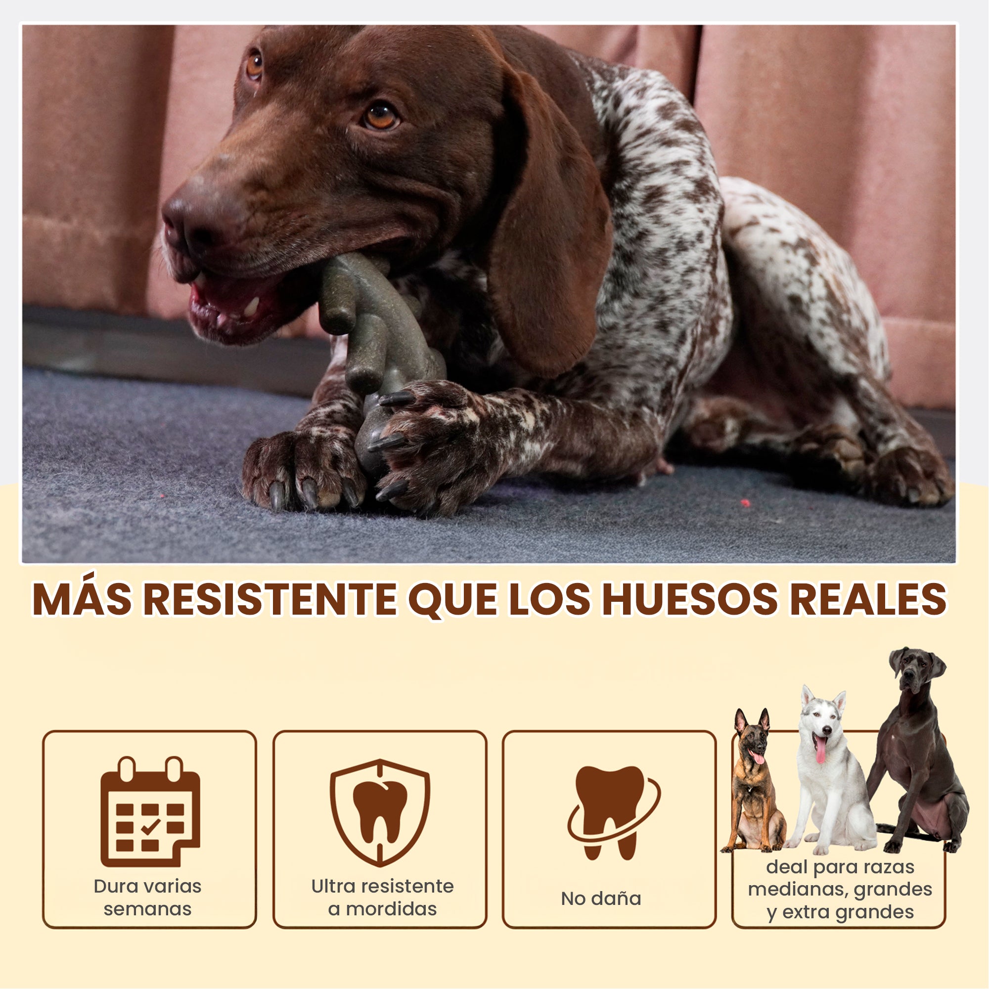 Juguete Masticable para Perro en Forma de Langosta, Libre de BPA y Masajeador Dental, Para Perros Medianos y Grandes