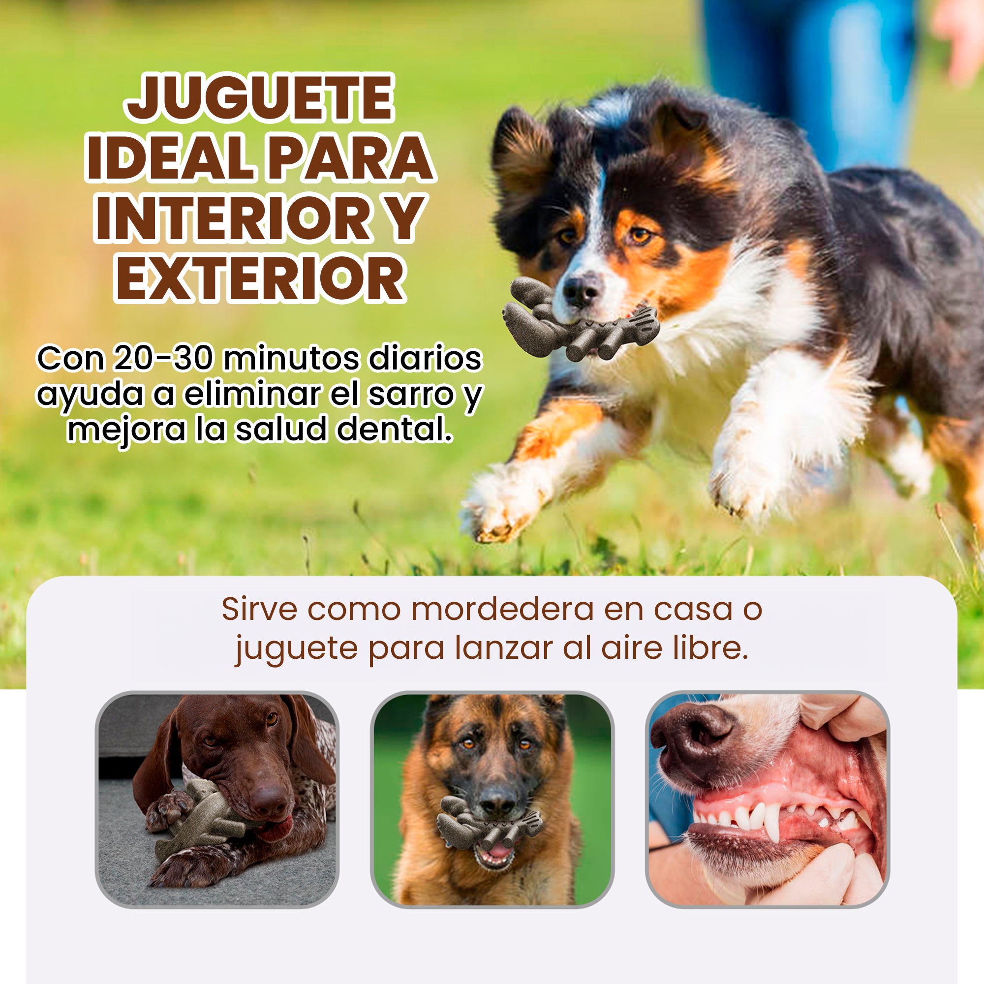 Juguete Masticable para Perro en Forma de Langosta, Libre de BPA y Masajeador Dental, Para Perros Medianos y Grandes
