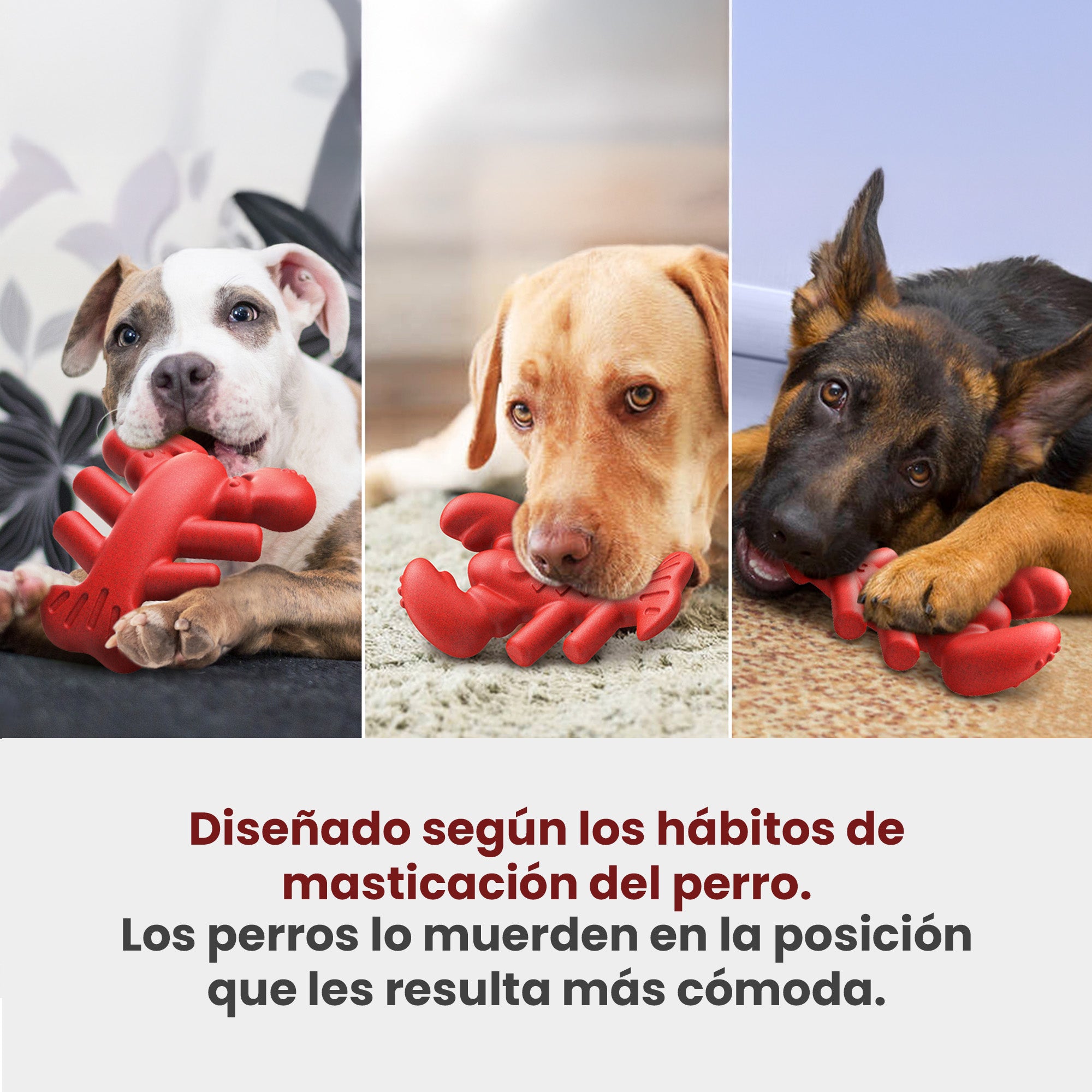 Juguete Masticable para Perro en Forma de Langosta, Libre de BPA y Masajeador Dental, Para Perros Medianos y Grandes