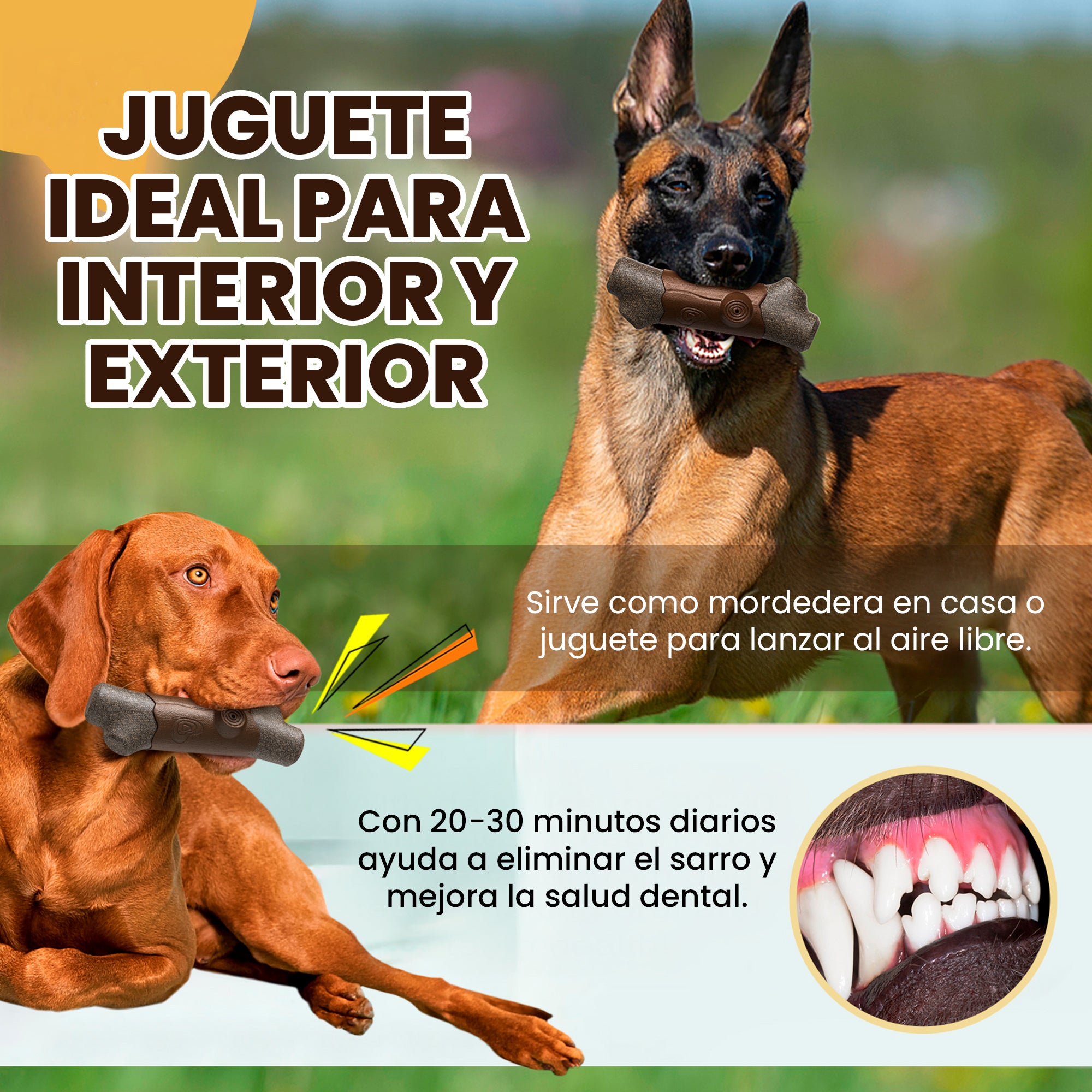 Juguete Hueso Masticable de Fibra de Café con Chillador, Resistente para Perros Medianos y Grandes