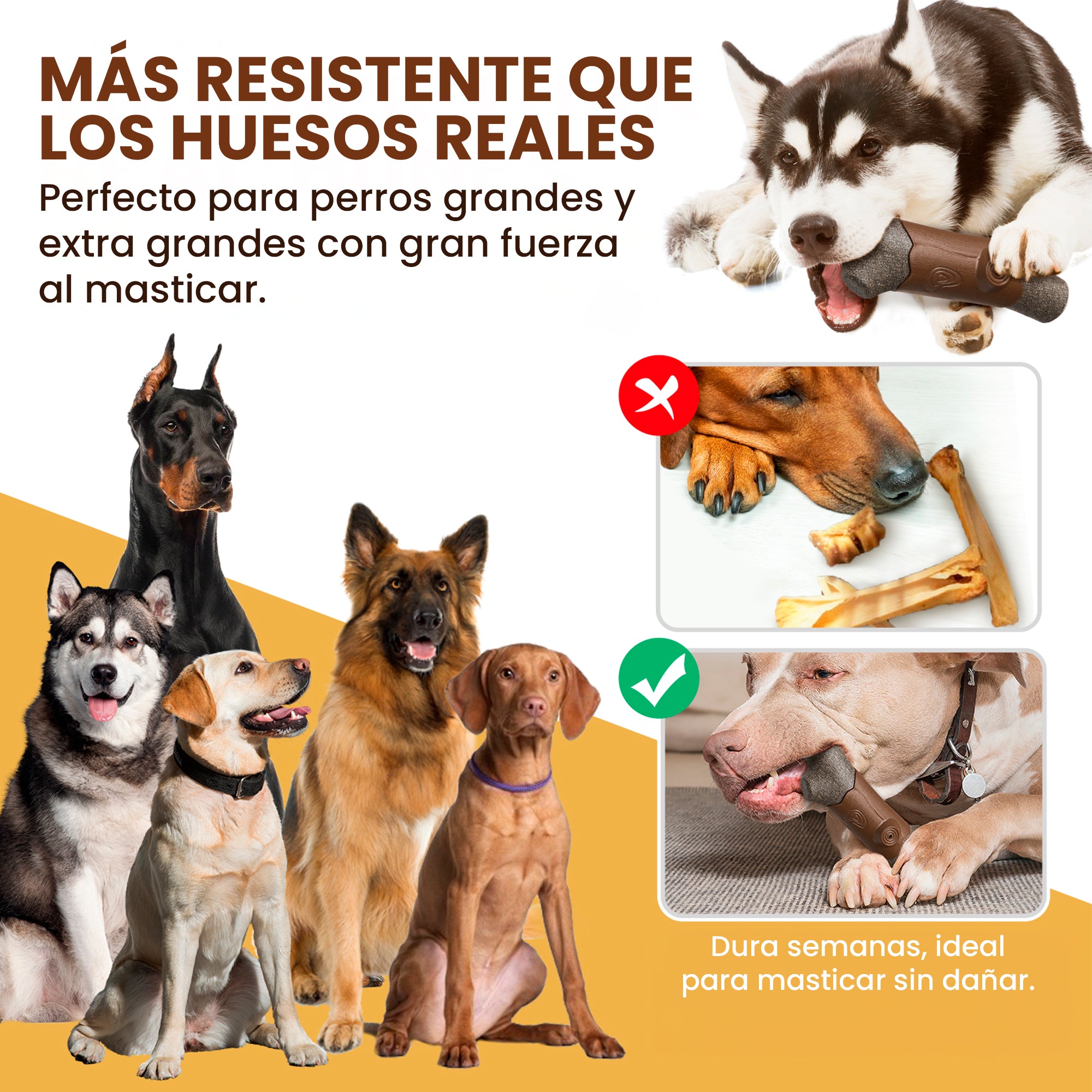 Juguete Hueso Masticable de Fibra de Café con Chillador, Resistente para Perros Medianos y Grandes