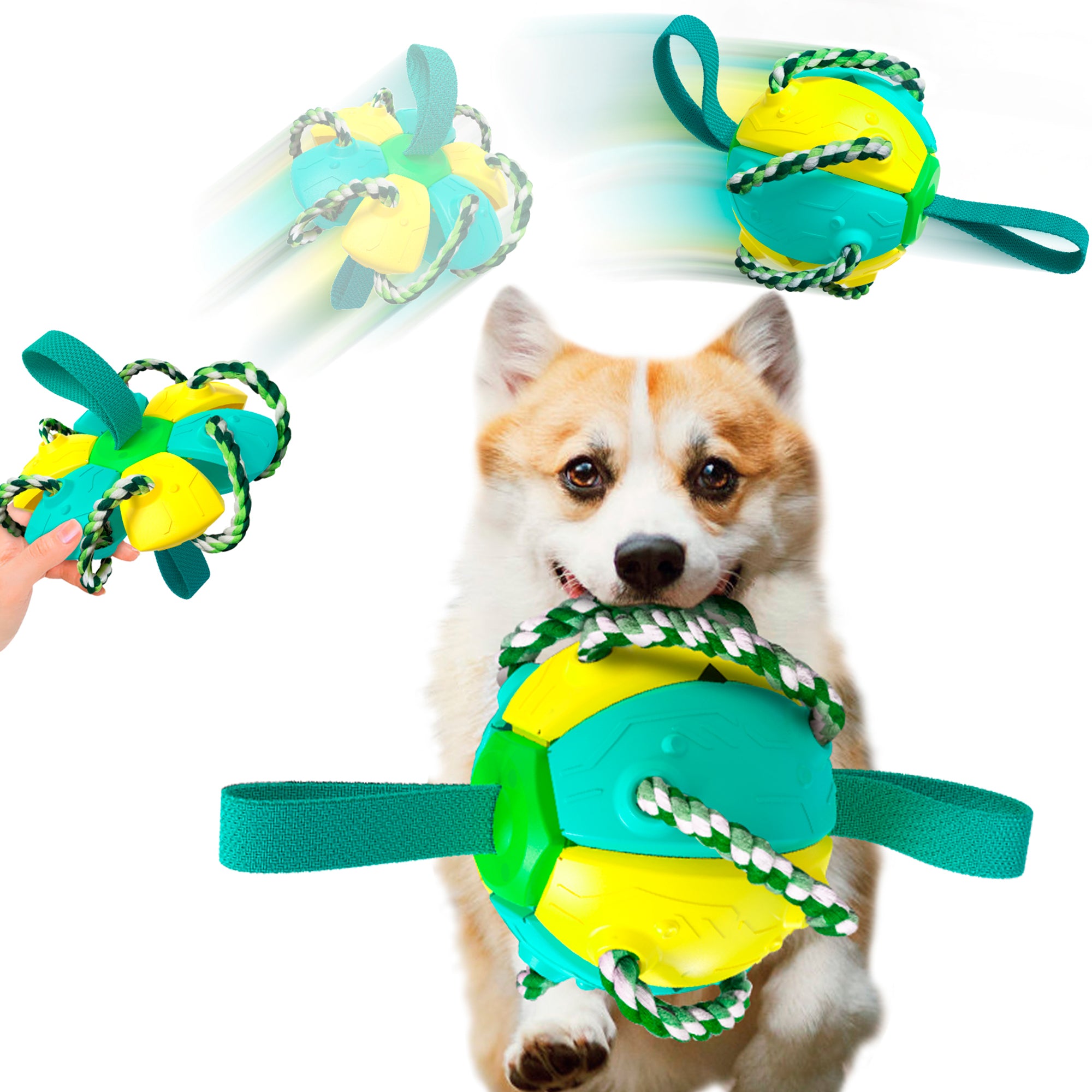 Pelota Juguete Interactivo para Perros，Frisbee con Cuerda Para Todas las Razas