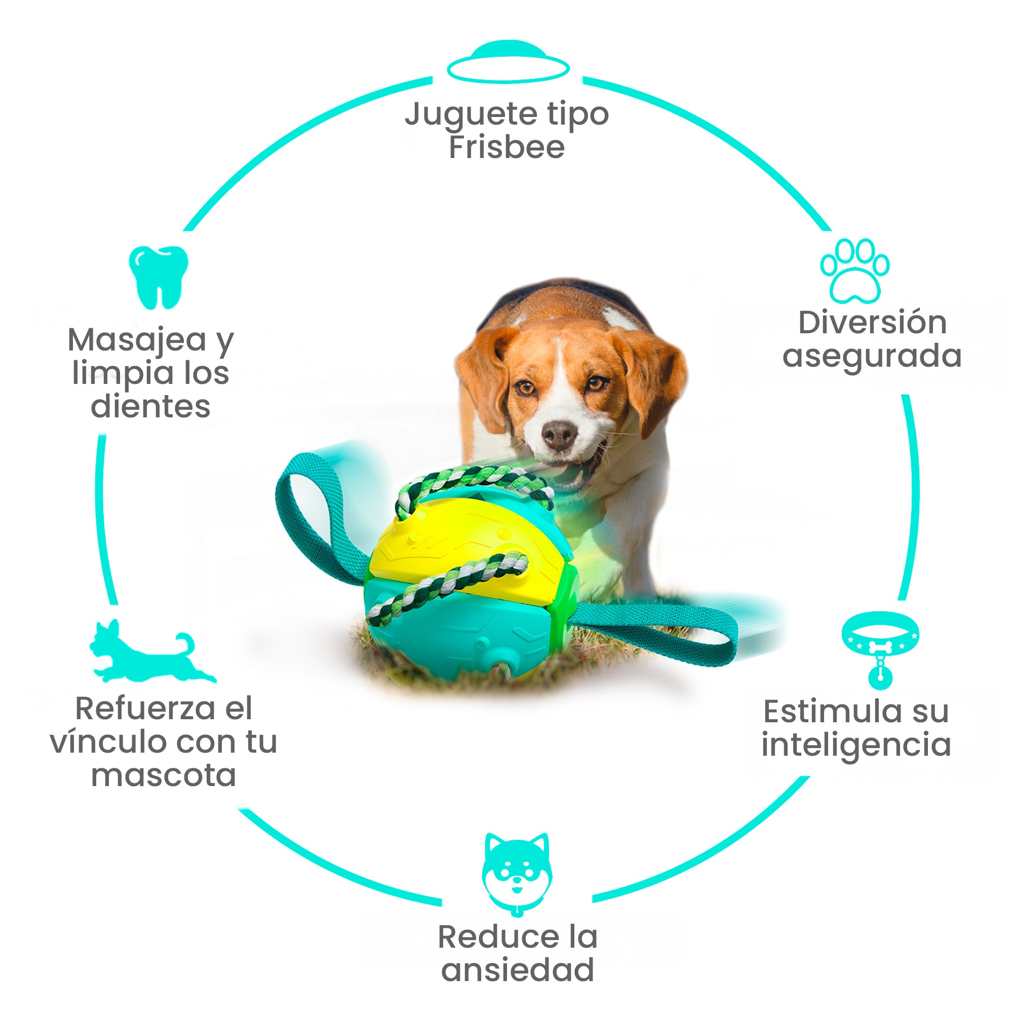 Pelota Juguete Interactivo para Perros，Frisbee con Cuerda Para Todas las Razas