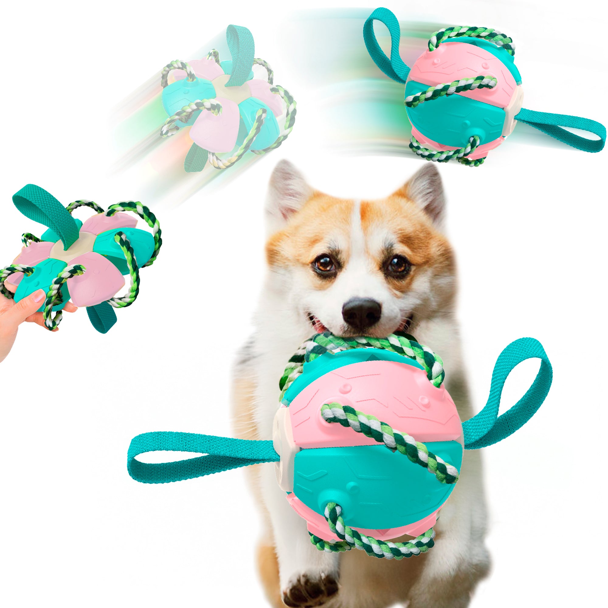 Pelota Juguete Interactivo para Perros，Frisbee con Cuerda Para Todas las Razas