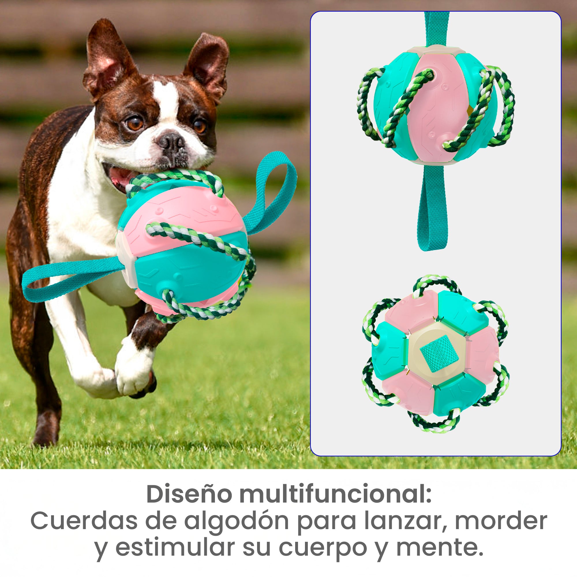 Pelota Juguete Interactivo para Perros，Frisbee con Cuerda Para Todas las Razas