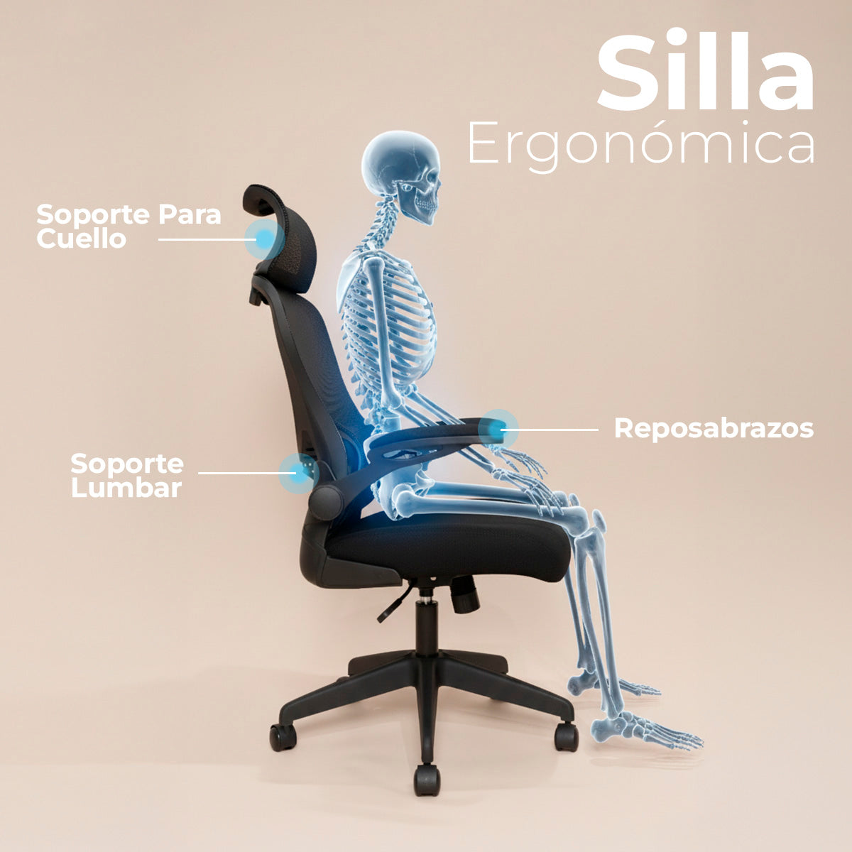 Silla De Oficina Escritorio Ergonómica Tapizado De Malla Negro