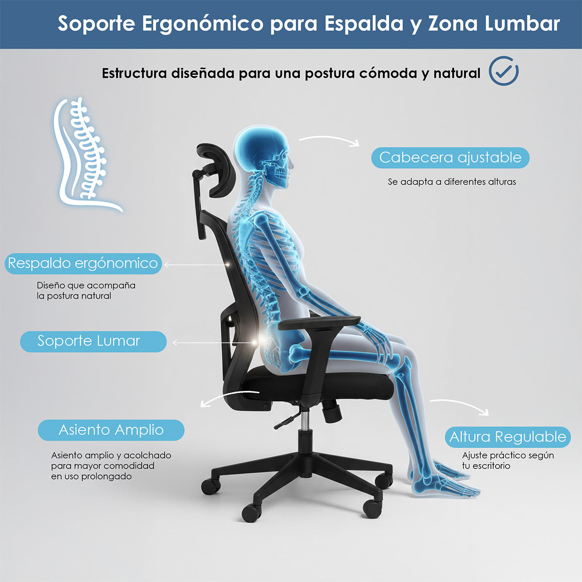 Silla Ergonómica con Soporte Lumbar De Escritorio, Dormitorio.
