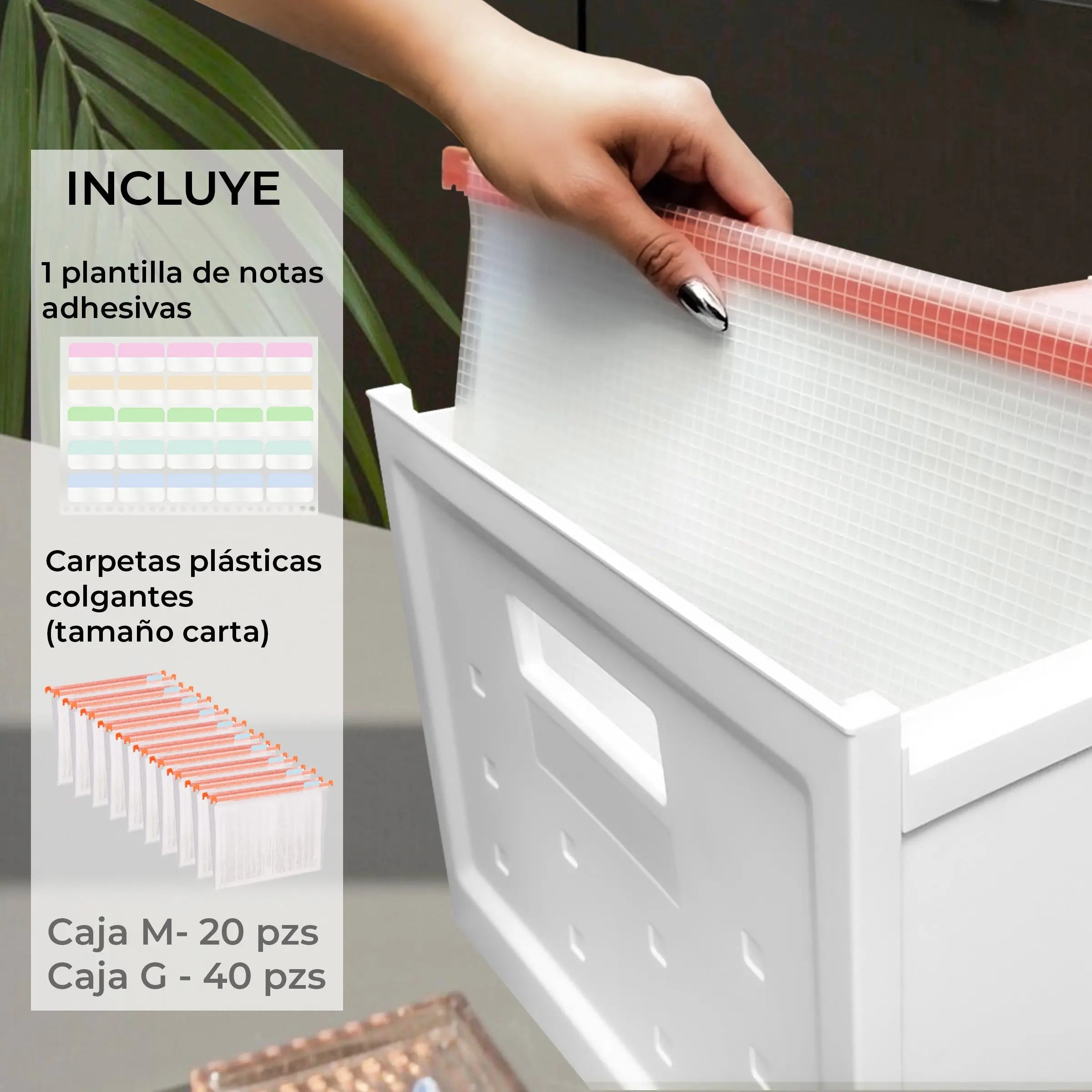 Set de 2 cajas de almacenamiento de archivo con ruedas, tapa y carpetas plásticas colgantes de tamaño carta, archivero organizador con caja individual y plegable MU:4LIFE